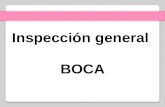 Inspeccion General Boca