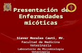 Enfermedades Micoticas doctor Siever Morales Cauti