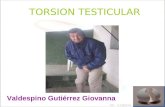 Torsion Testicular