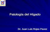 Patologia del-higado