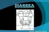 Diarreas semiologia . Anshela Yapapasca Pasapera