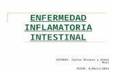 (2014-04-08) Enfermedad Inflamatoria Intestinal (ppt)