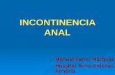 Incontinencia anal