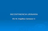 Incontinencia urinaria1