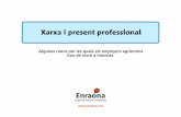 Xarxa I Present Professional 2