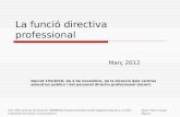 Funció directiva professional 26 02