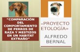 1.proyecto etología