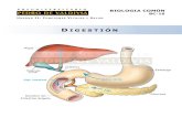 PDV: Biologia Guía N°16 [4° Medio] (2012)