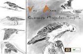 Guía de Aves de la Comarca Miajadas-Trujillo