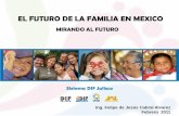 El futuro de la familia en méxico 2011