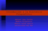 Clase 1 IntroduccióN A La Asistencia PsiquiáTrica Dr. Lips