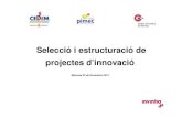 Selecció i estructuració de projectes d'innovació