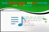 Biogeos - Biogeofactor Protectores