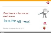 suite 45 ponencia innovacion 131211