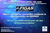 El rol multidimensional de los biocombustibles_Daniel_Gomez_FIGAS2013