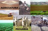 Slide geografia agricultura e pecuária