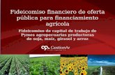 Fideicomiso para financiamento agrícola 2012