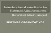 SISTEMAS ORGANIZATIVOS Y LAS UNIDADES DE ORGANIZACION Y METODOS (UOM)