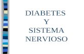 Diabetes y Sn