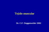 Clase Tejido Muscular Histología