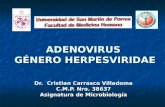 Virus Herpesviridae
