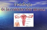 Fisiologia contraccion uterina