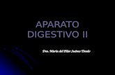 6[1]. APARATO DIGESTIVO II
