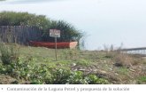 Contaminación de La Laguna y La Solución