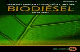 ITDG - Opciones Para El Biodiesel en El Perú