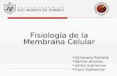 Fisiología de La Membrana Celular