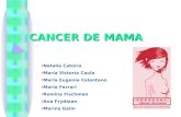 Cancer de Mama Diseño3
