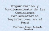 CDG - Organización y funcionamiento de las Comisiones Ordinarias en el Perú