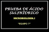 Micro Prueba de Ácido SulfhÍdrico