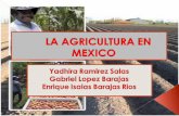 La Agricultura en Mexico