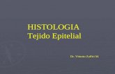 Histologia - 03 - Epitelios.30.03.09