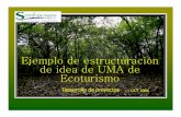 Ejemplo Proyecto UMA Ecoturismo