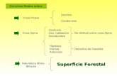 Superficie Forestal