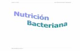 Nutricion Bacteriana Final