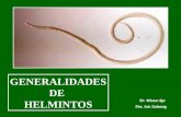 CLASE 10. GENERALIDADES DE HELMINTOS