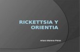 Rickettsia y Orientia, Arturo Moreno Perez