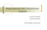 Reguladores Del Crecimiento Vegetal.Micologia