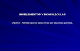 Clase 5 Bioelementos (1P 08)