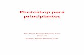 Herramientas Photoshop PDF