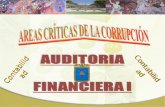 AUDITORIA FINANCIERA - AREAS CRITICAS DE LA CORRUPCION