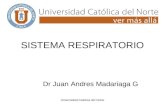 Histologia - 11 - Sistema Respiratorio.08.06.09