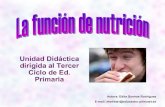La función de nutrición I