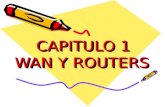 Ccna2 v3 Cap 1 Componentes de Los Routers