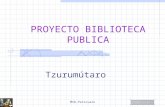 Proyecto Biblioteca Publica