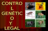 Control Genetico y Legal de Plagas