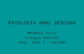 PATOLOGIA ANAL BENIGNA-CLASE